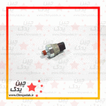 فشنگی روغن گریت وال ولکس C30