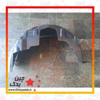شلگیر سانگ یانگ اکتیون