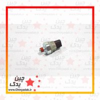 فشنگی روغن گریت وال ولکس C30