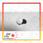 مغزی سوییچ برلیانس H320